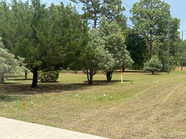 1449 W Citrus Springs Boulevard, Citrus Springs, FL 34434