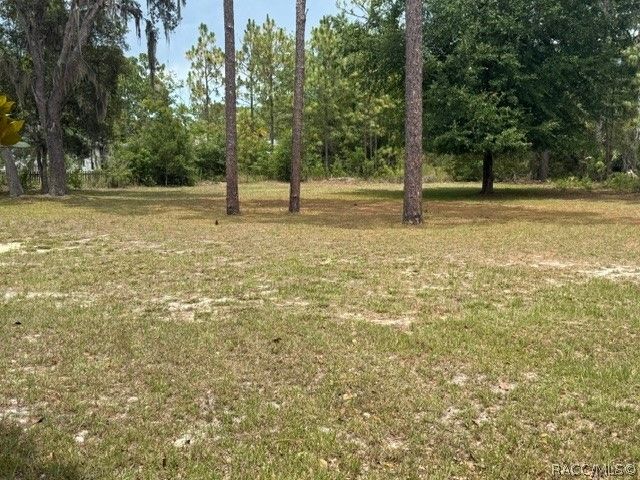 1449 W Citrus Springs Boulevard, Citrus Springs, FL 34434