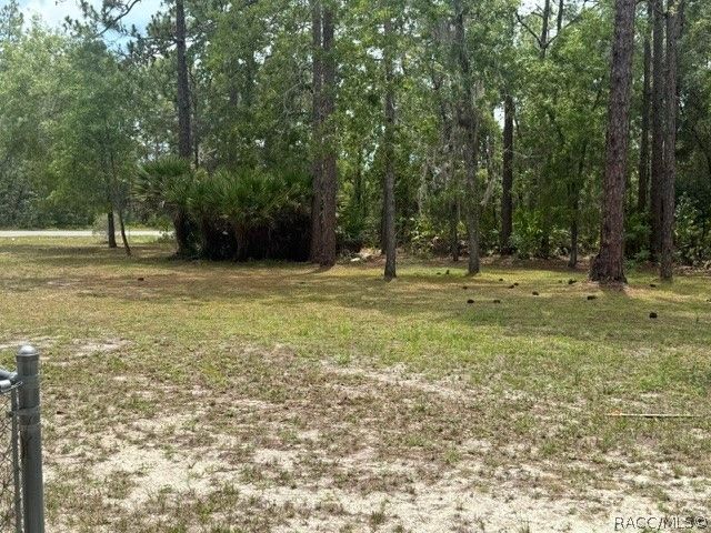 1449 W Citrus Springs Boulevard, Citrus Springs, FL 34434