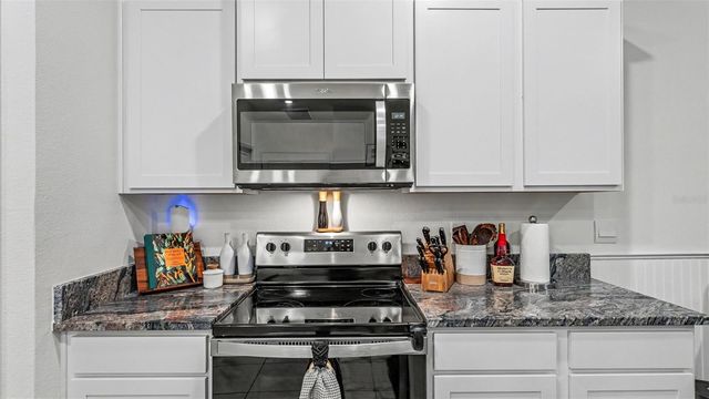 3817 STORMY THISTLE PLACE, Plant City, FL 33565