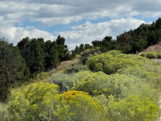 3093 Monte Sereno Drive Lot 18, Santa Fe, NM 87506