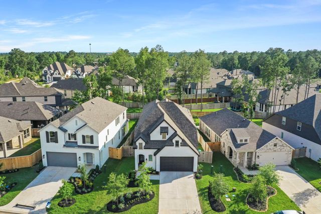 117 Hidden Peak Drive, Montgomery, TX 77316