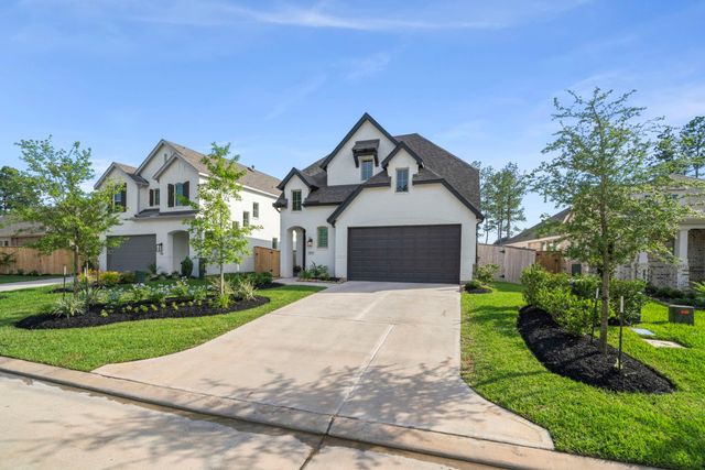 117 Hidden Peak Drive, Montgomery, TX 77316