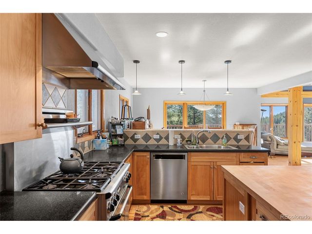 13445 S Baird Rd, Conifer, CO 80433