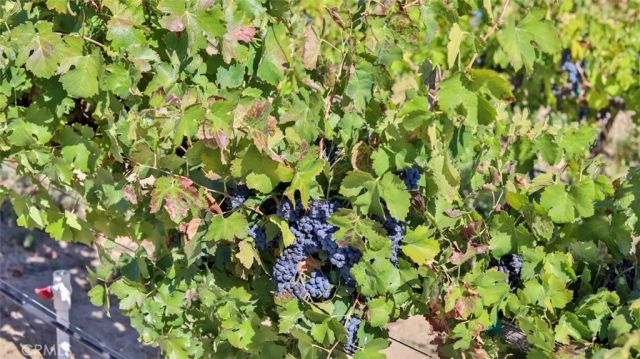 40970 Anza Road, Temecula, CA 92592