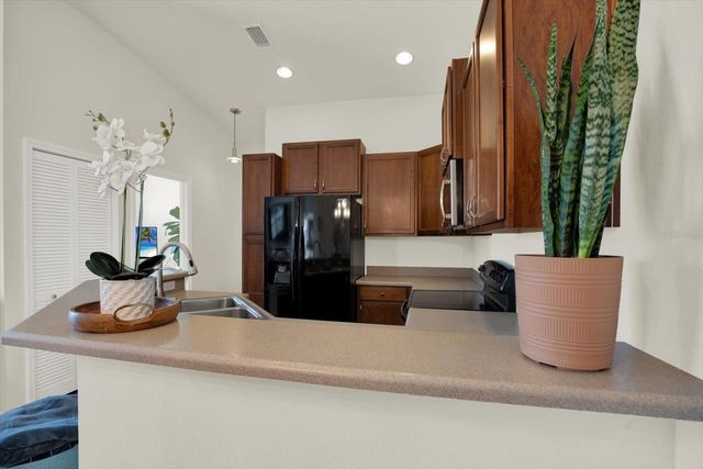 8919 MOONLIT MEADOWS LOOP, Riverview, FL 33578
