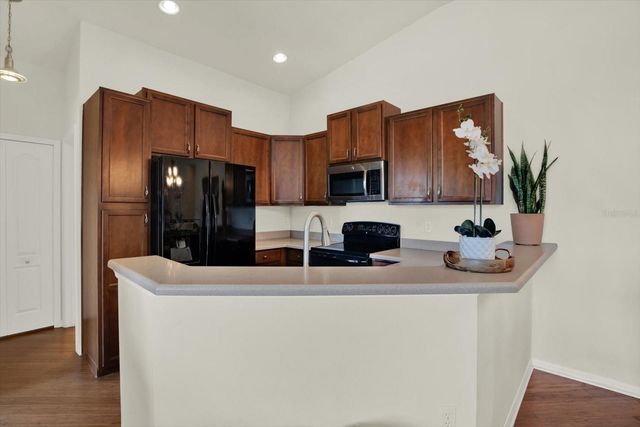 8919 MOONLIT MEADOWS LOOP, Riverview, FL 33578