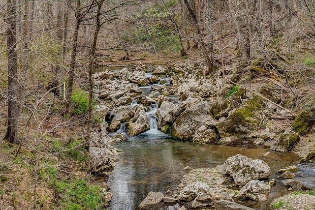 1066 Greyledge RD, Buchanan, VA 24066