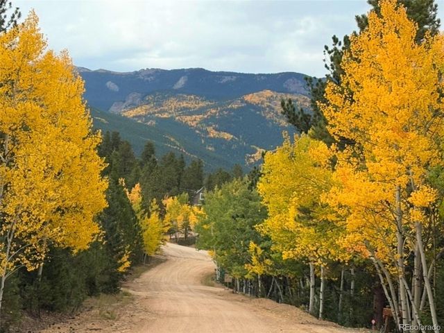 302 Miners Way, Bailey, CO 80421