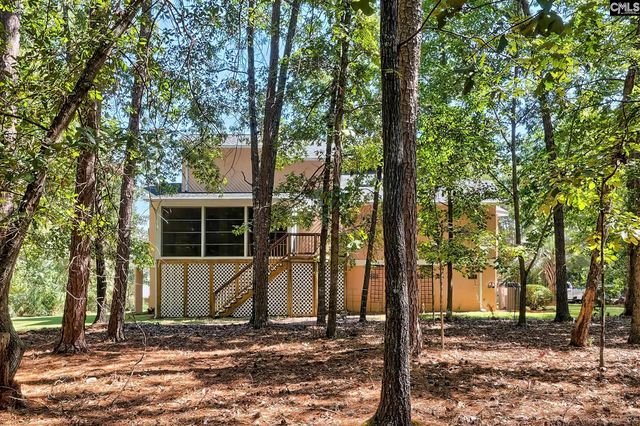 1102 Wonder Drive, Chapin, SC 29036