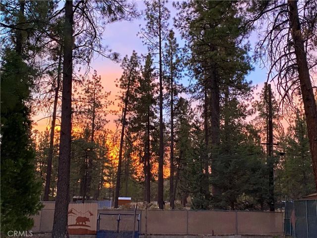 59307 Courtesy Drive, Mountain Center, CA 92561