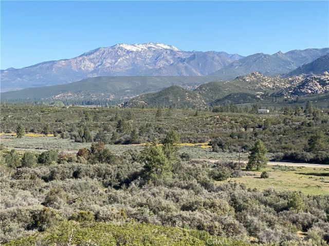 59307 Courtesy Drive, Mountain Center, CA 92561