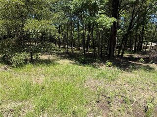 TBD PR 5861 (LOT 3), Yantis, TX 75497