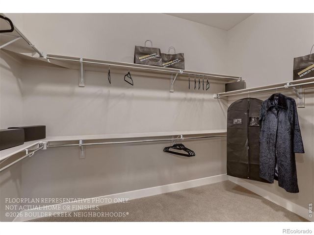 14123 Blue Stem Street, Broomfield, CO 80020