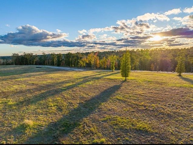 0000 Covey Circle, Livingston, TX 77351