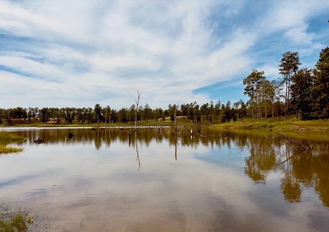 0000 Covey Circle, Livingston, TX 77351