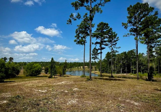 0000 Covey Circle, Livingston, TX 77351