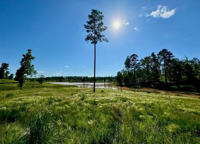 0000 Covey Circle, Livingston, TX 77351