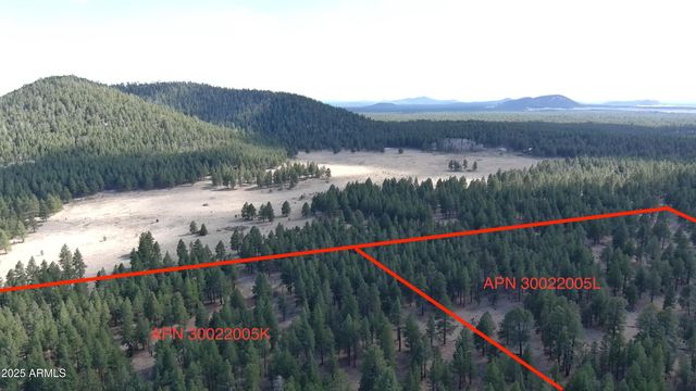 0 Forest Road 193 Street 0, Flagstaff, AZ 86001