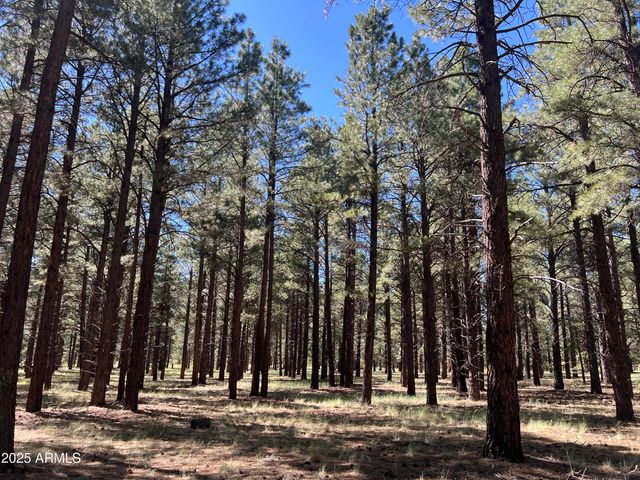 0 Forest Road 193 Street 0, Flagstaff, AZ 86001