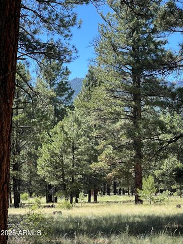 0 Forest Road 193 Street 0, Flagstaff, AZ 86001