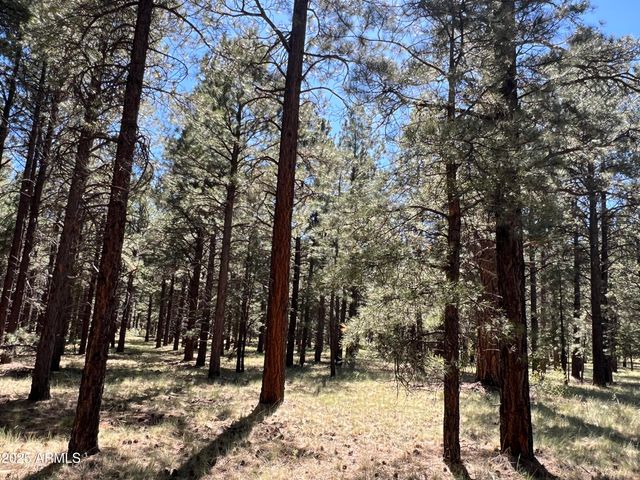 0 Forest Road 193 Street 0, Flagstaff, AZ 86001