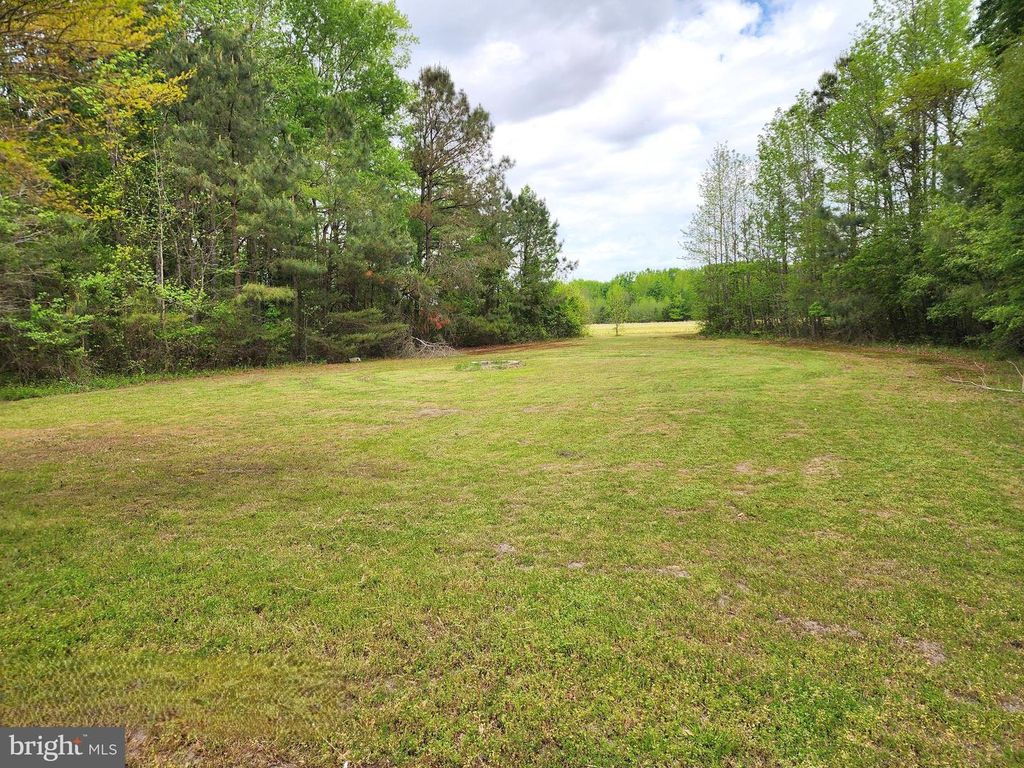 Image 7 of property listing at 4940 MAIDEN FOREST RD, Vienna, MD 21869