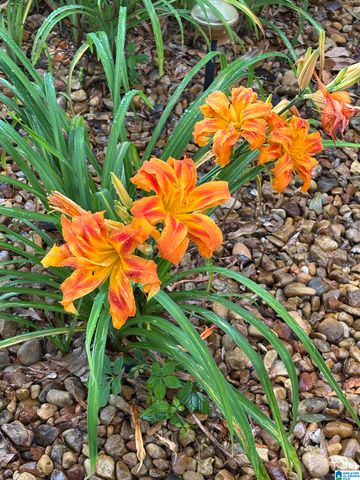 200 ENGLISH VILLAGE CIRCLE, Gardendale, AL 35071