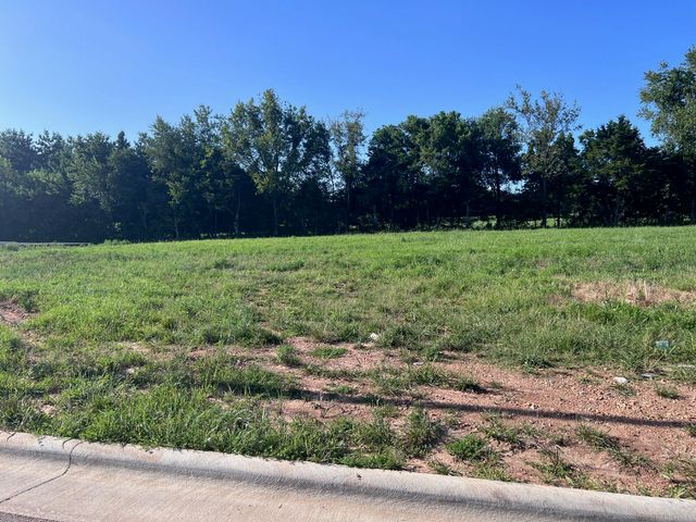 2169 N Silver Charm Avenue, Springfield, MO 65802