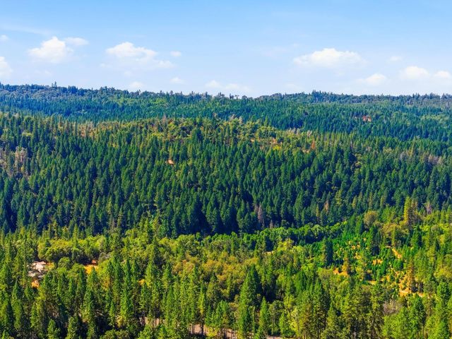 3520 Mining Brook Rd, Placerville, CA 95667