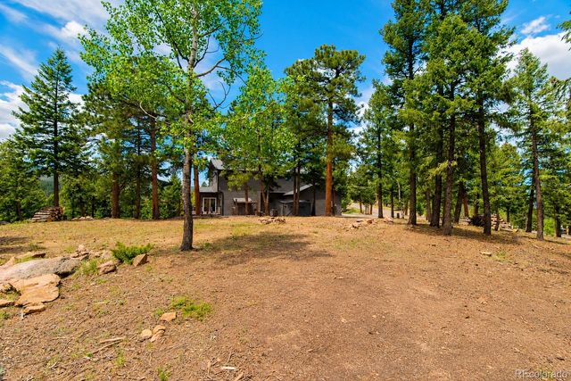 33510 Puma Crest, Evergreen, CO 80439