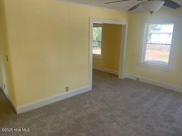 203 Allen Street, Elizabethtown, NC 28337