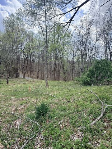 935 Sugar Tree Knob Rd, Liberty, TN 37095