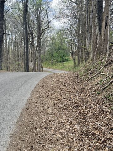935 Sugar Tree Knob Rd, Liberty, TN 37095