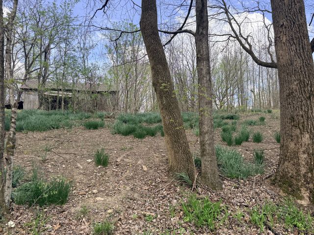 935 Sugar Tree Knob Rd, Liberty, TN 37095