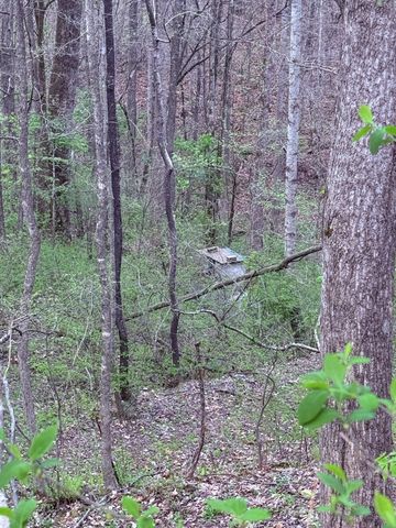 935 Sugar Tree Knob Rd, Liberty, TN 37095