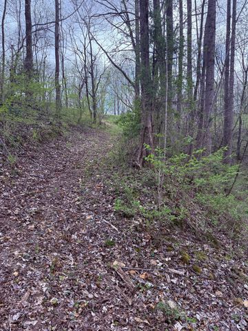 935 Sugar Tree Knob Rd, Liberty, TN 37095