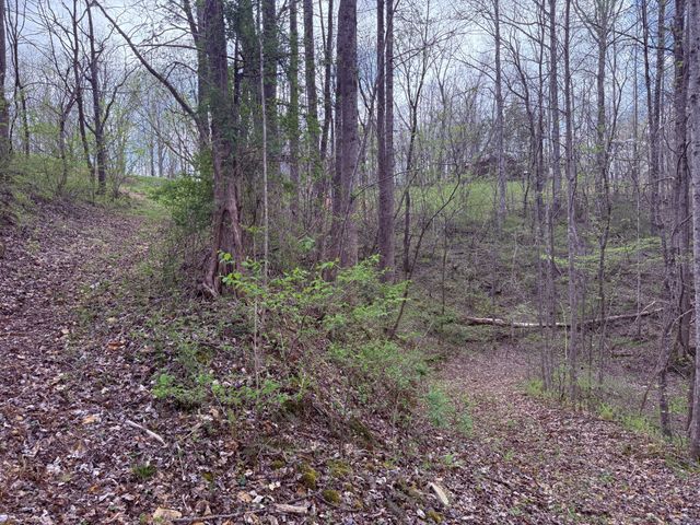 935 Sugar Tree Knob Rd, Liberty, TN 37095