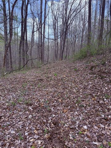 935 Sugar Tree Knob Rd, Liberty, TN 37095