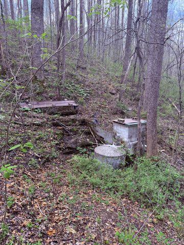 935 Sugar Tree Knob Rd, Liberty, TN 37095