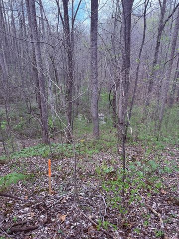 935 Sugar Tree Knob Rd, Liberty, TN 37095