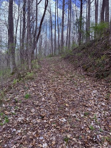 935 Sugar Tree Knob Rd, Liberty, TN 37095