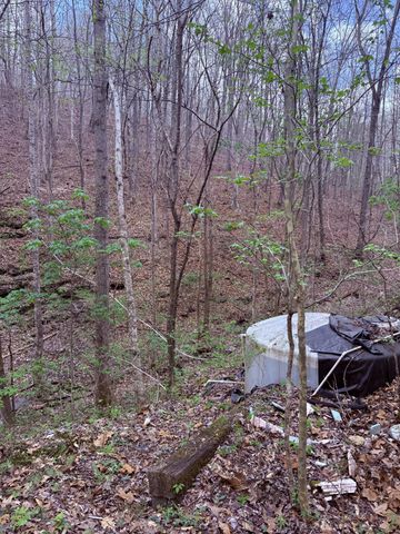 935 Sugar Tree Knob Rd, Liberty, TN 37095