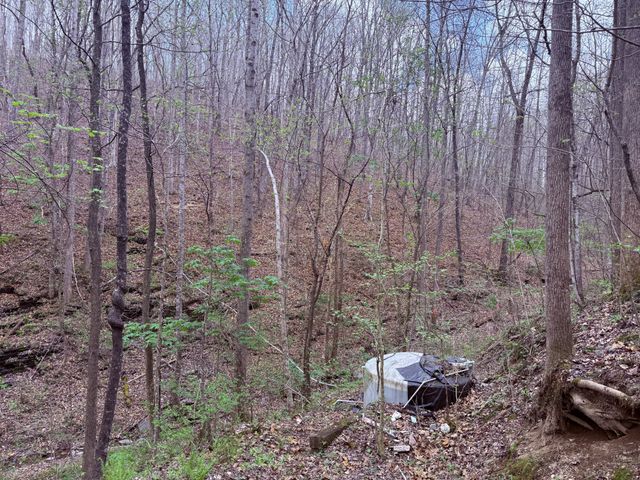 935 Sugar Tree Knob Rd, Liberty, TN 37095