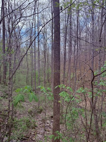 935 Sugar Tree Knob Rd, Liberty, TN 37095