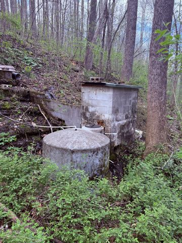 935 Sugar Tree Knob Rd, Liberty, TN 37095