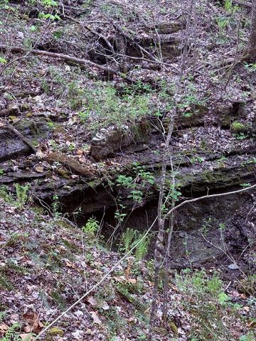 935 Sugar Tree Knob Rd, Liberty, TN 37095
