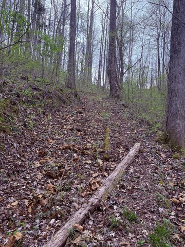 935 Sugar Tree Knob Rd, Liberty, TN 37095