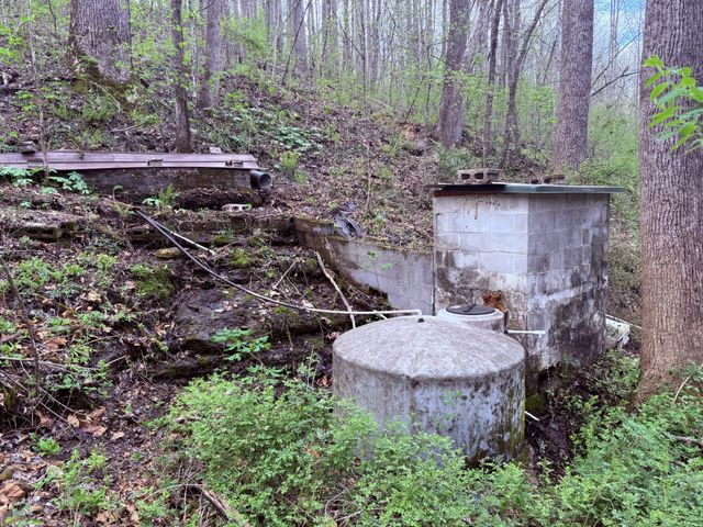 935 Sugar Tree Knob Rd, Liberty, TN 37095