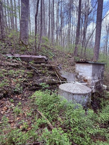 935 Sugar Tree Knob Rd, Liberty, TN 37095